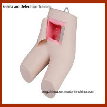 Enema and Assised Defecation Training Simulator